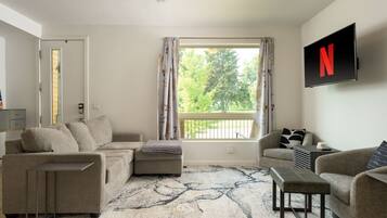 智能電視、壁爐、音響