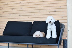 豪華別墅 | 露台/庭院