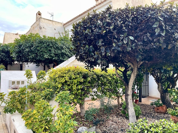 Bungalow | Jardin