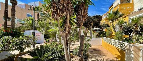 Bungalow | Utsikt fra overnattingsstedet