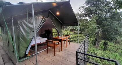 Radiance Ella Urban Tents