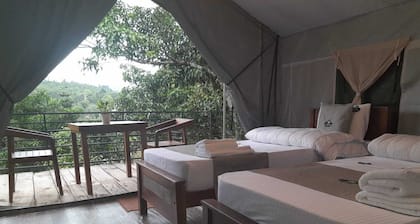 Radiance Ella Urban Tents