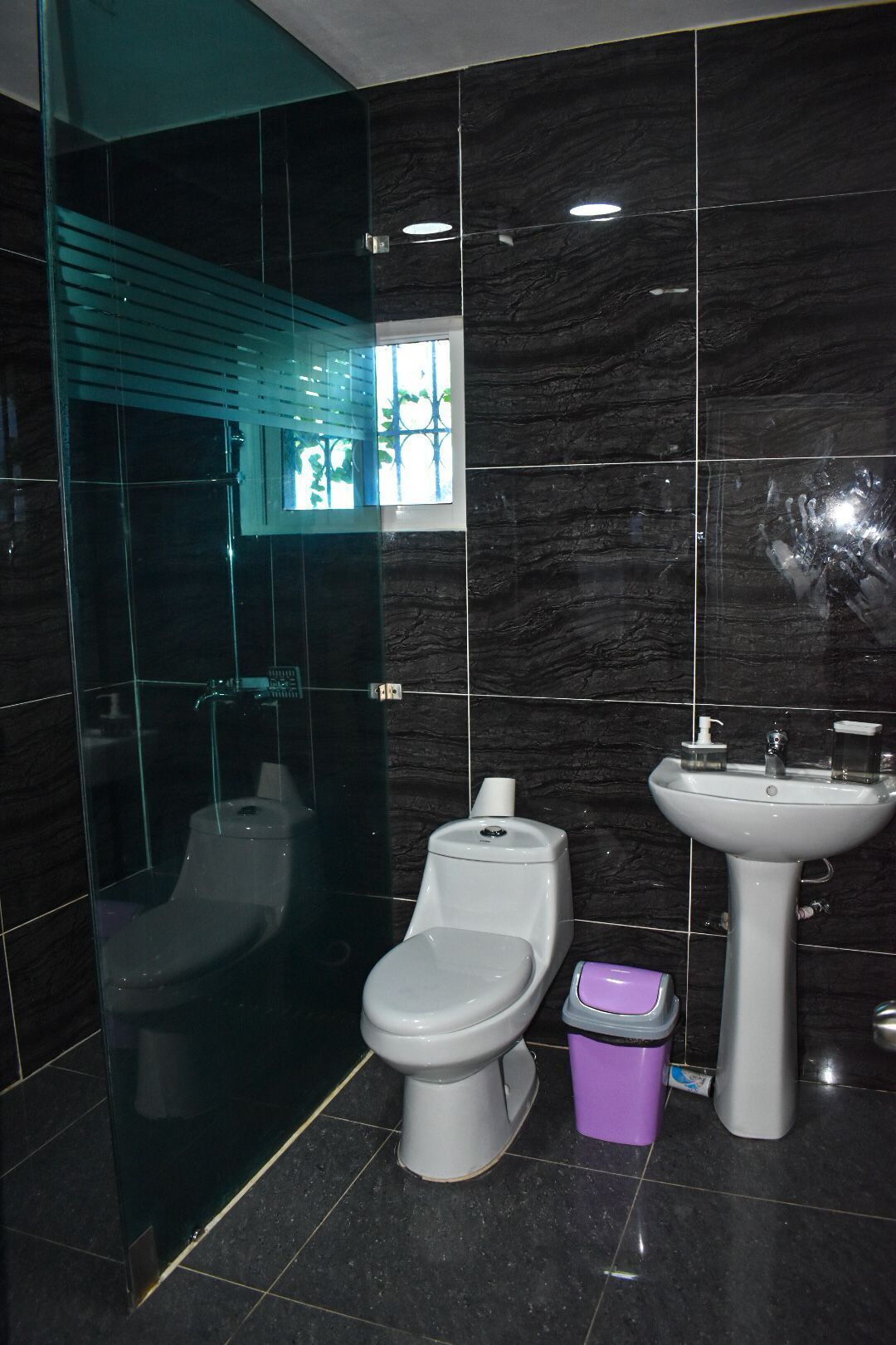 Hair dryer, bidet, towels, soap