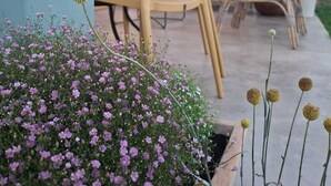 Ein Sitzbereich im Freien mit Stühlen und Tisch, umgeben von einem Garten mit violetten Blumen.