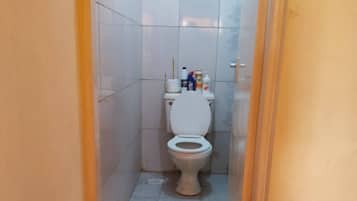 Shower, towels, soap, toilet paper
