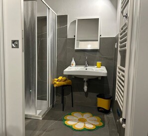 Shower, hair dryer, bidet, towels