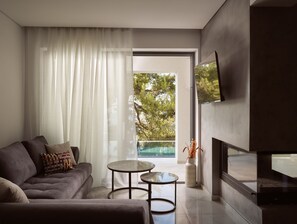 Smart TV, fireplace, books, stereo