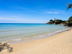 A beach with clear water, sandy shore, and trees.