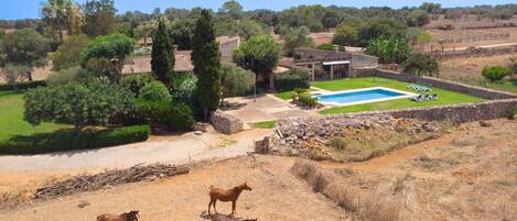 المنشأة من الخارج