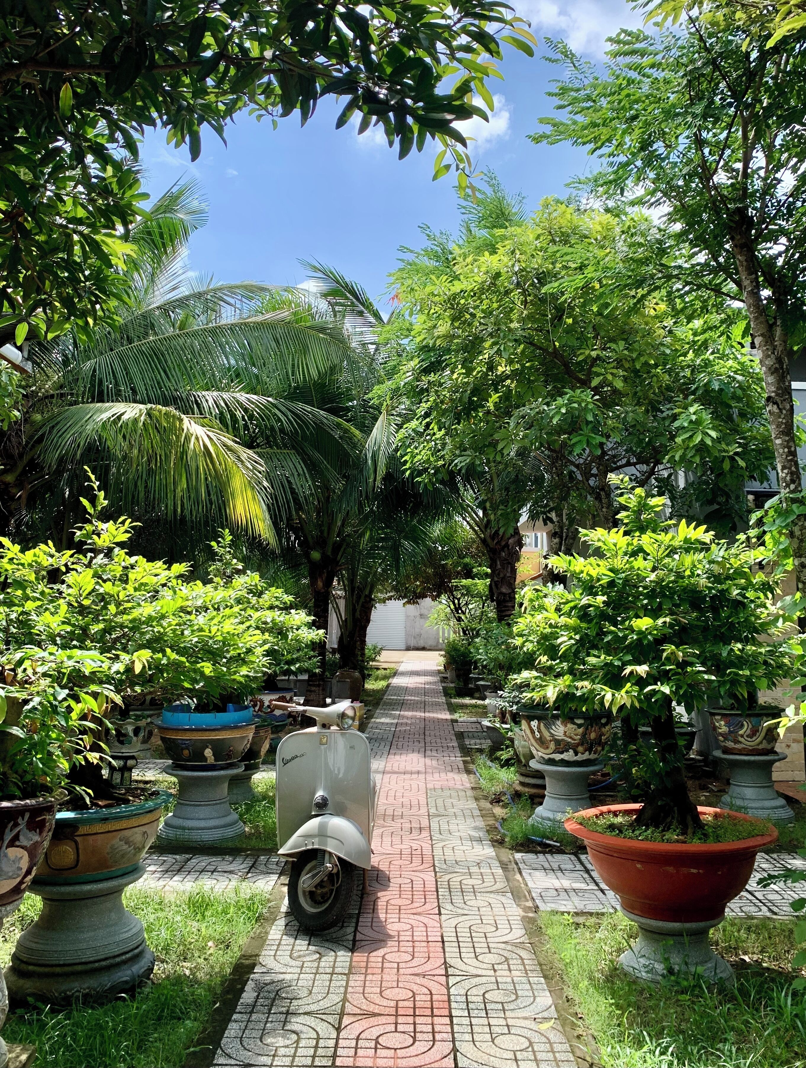 A paved pathway lined with potted plants and a vintage scooter.