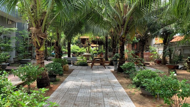 A garden pathway surrounded by potted plants and palm trees, leading to a covered seating area. - ML Homestay (Ho Chi Minh City)
