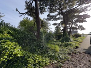 Terrain de lâhĂ©bergement