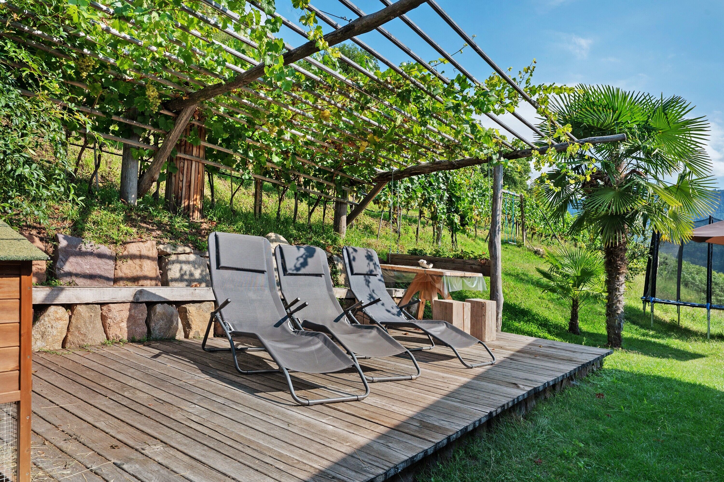 A wooden deck with two lounge chairs, a pergola with climbing plants, and a stone wall.