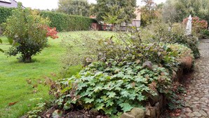 Ein Garten mit einem Pflasterweg, einer Hecke und einem Backsteinhaus.