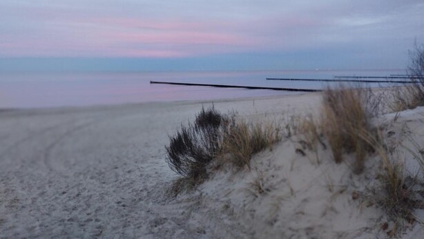 Ein Strand mit Dünen und einem ruhigen Meer unter einem bewölkten Himmel.