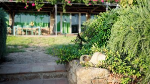 A garden pathway leading to a building with a pergola covered in pink flowers.