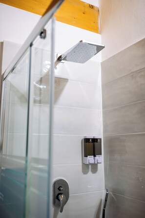 Regadera, secadora de cabello, bidet, toallas 
