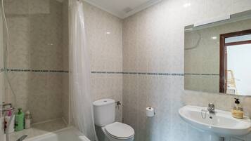 Een badkamer met douche, toilet, wastafel en spiegel.