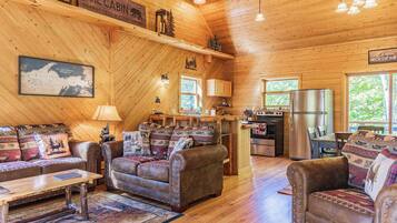 TV, fireplace, books, offices