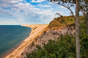 Un paisaje costero con una playa arenosa, un acantilado y una arboleda.