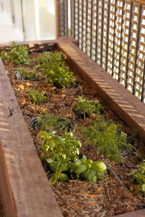 Una jardinera de madera con diversas plantas y acolchado, ubicada junto a una valla metálica.