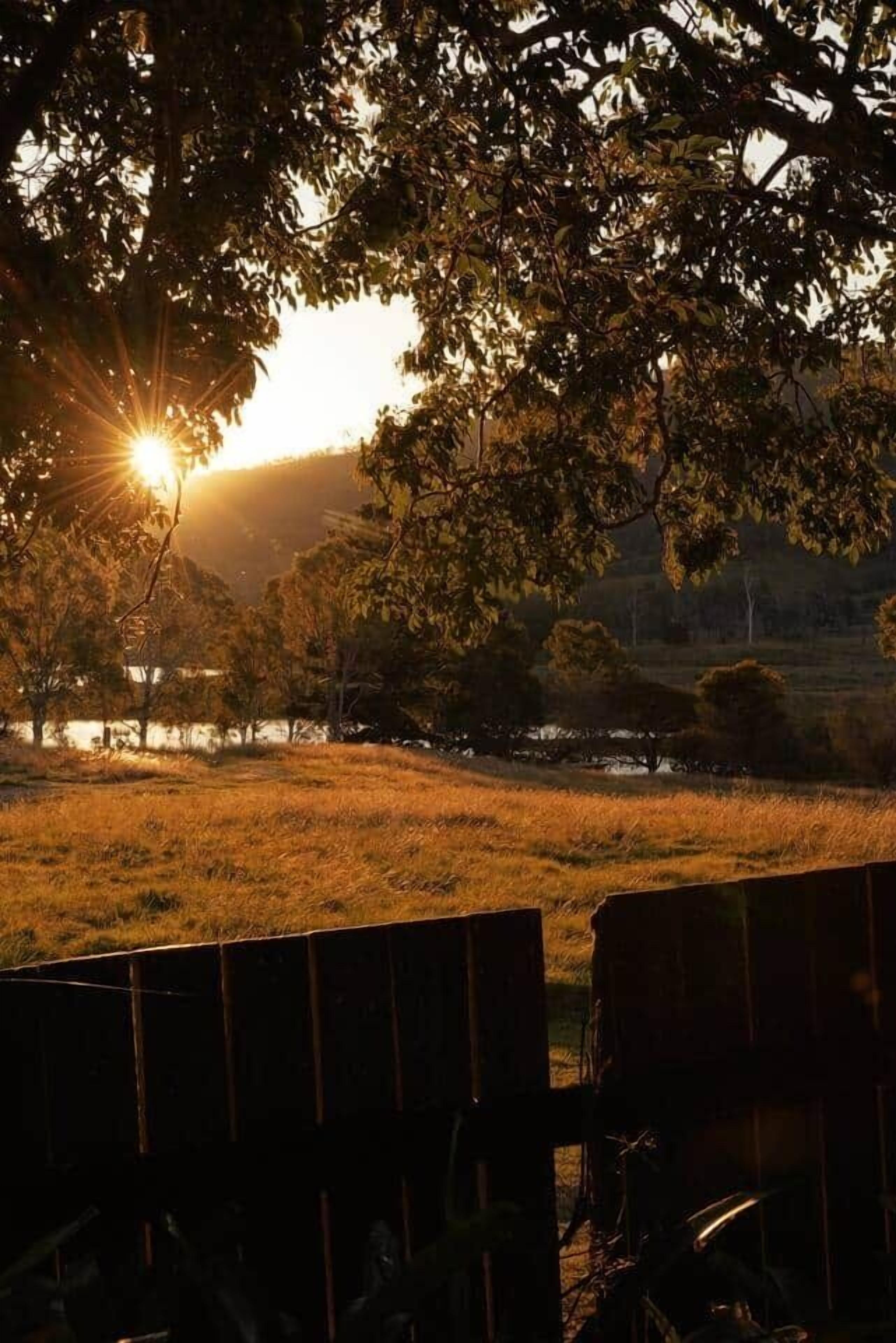 A sunset view with trees and a body of water.