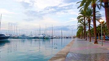 Marina/club náutico