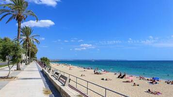 Playa en los alrededores