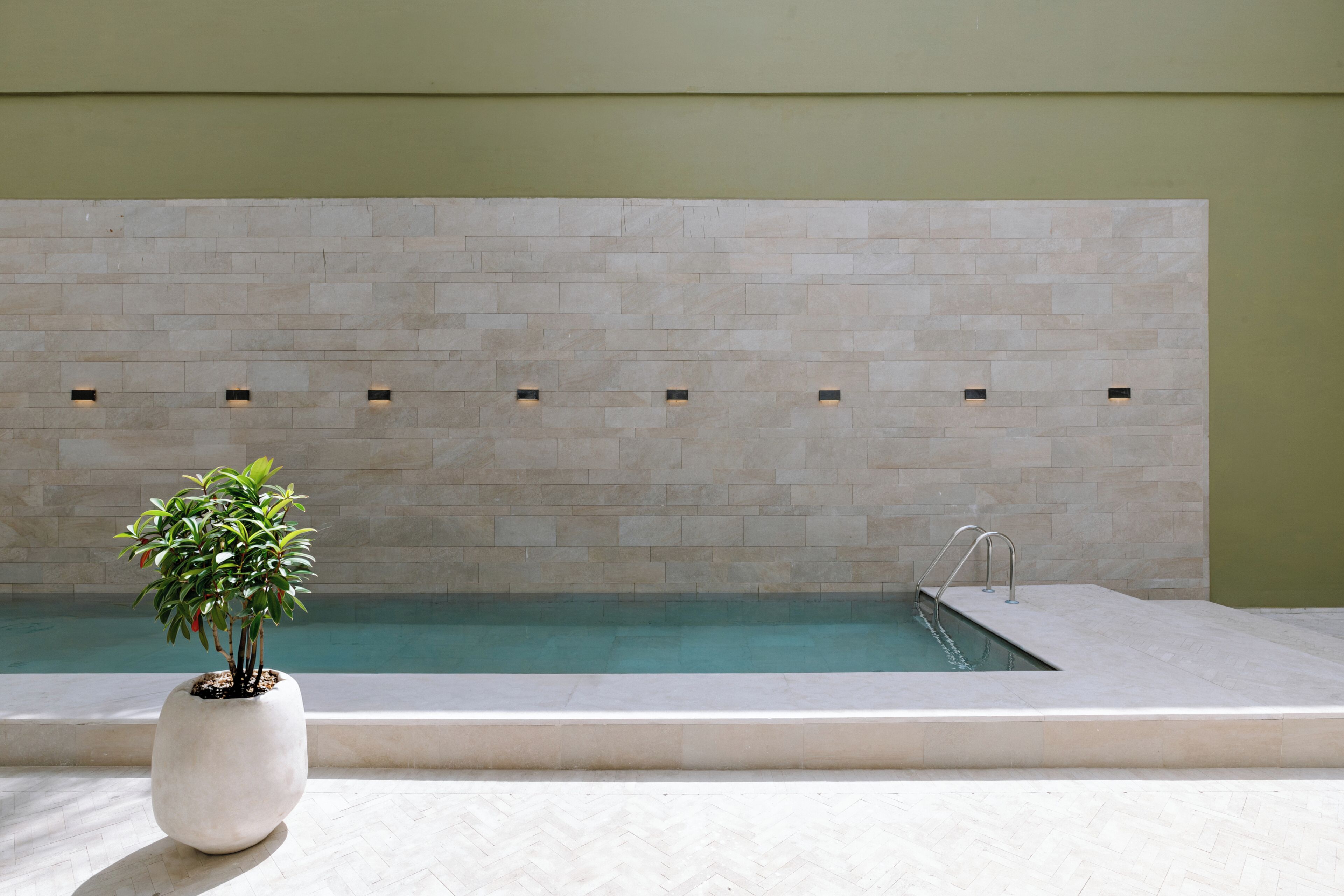 Una piscina con pared de azulejos, planta en maceta y zona de borde de piscina.