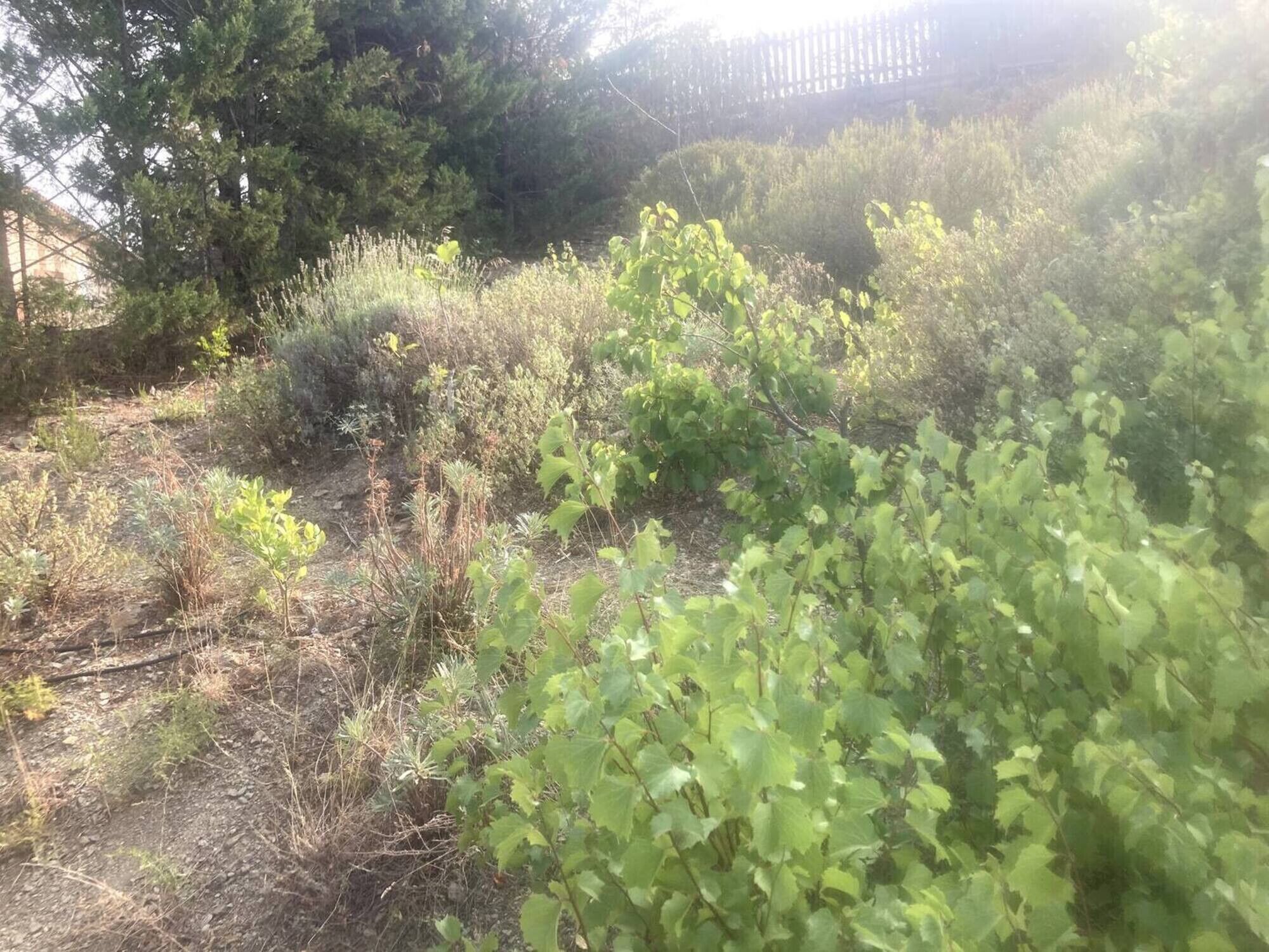 المنطقة المحيطة بالمنشأة