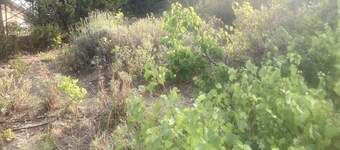 L'alba - gîte et chambre d'hôtes