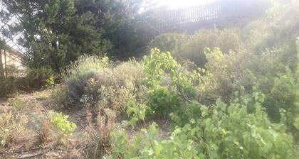 L'alba - gĂźte et chambre d'hĂŽtes