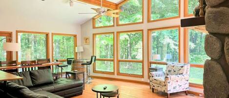 Televisión, chimenea, reproductor de DVD, oficina