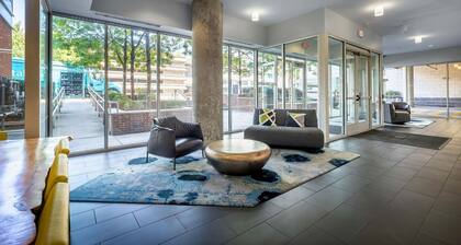 Modern Apt Downtown with Pool