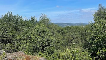 Felles sovesal, flere soverom, balkong | Diverse