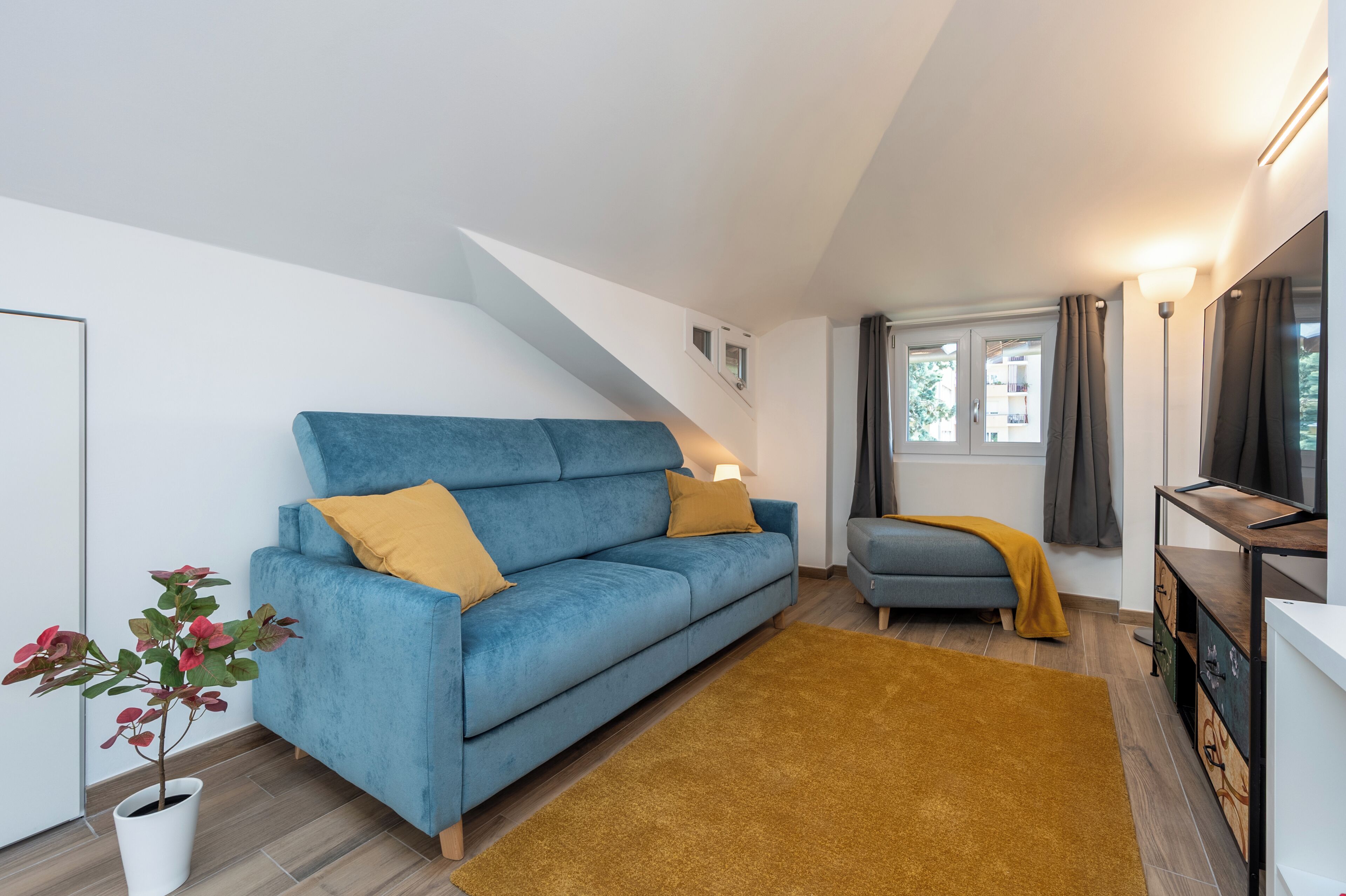 A modern living room with a blue sofa, a small table, and a plant.