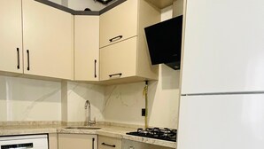 A compact kitchen with a dishwasher, stove, oven, and a built-in microwave.