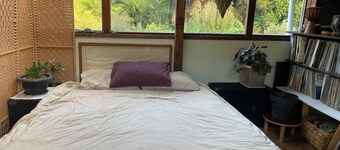 Beautiful Native Timber Studio deep in the Kahurangi NP
