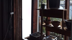 Une pièce avec une étagère en bois où sont disposées différentes plantes en pot et une fenêtre donnant sur des arbres.