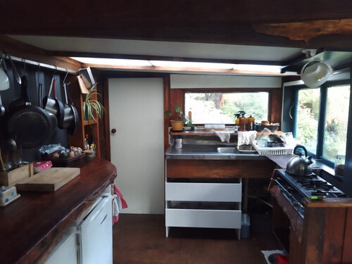 Beautiful Native Timber Studio deep in the Kahurangi NP