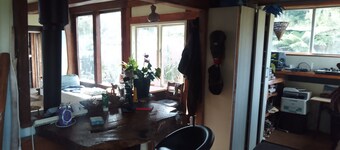 Beautiful Native Timber Studio deep in the Kahurangi NP