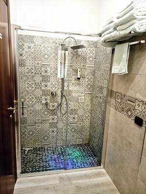 Shower, hair dryer, bidet, towels