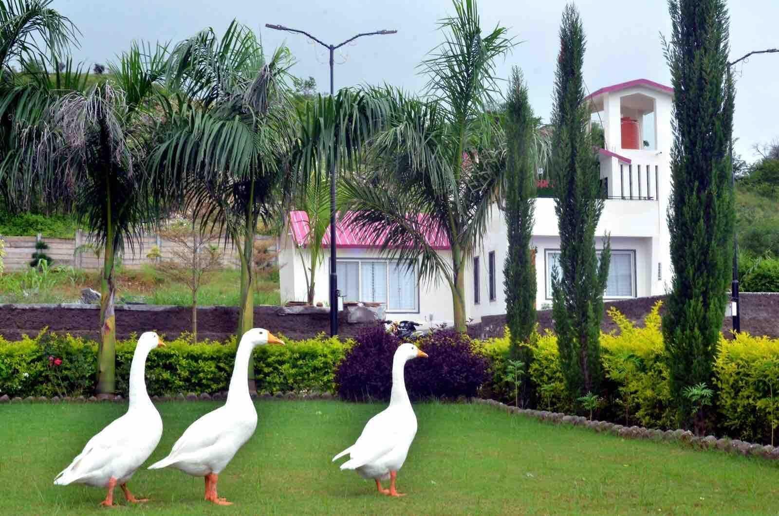 Premium Villa, 2 Bedrooms, Balcony, Pool View | Garden view