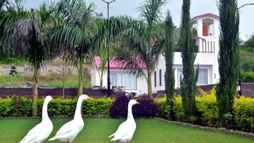 Premium Villa, 2 Bedrooms, Balcony, Pool View | Garden view