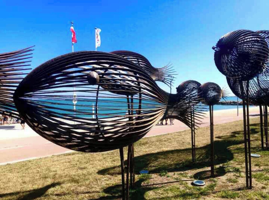 Strand