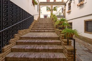 A set of stone steps leading up to a building entrance, flanked by potted plants and a metal railing.