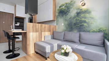 Televisio, työhuone