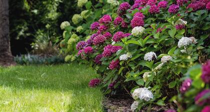 Krzyszkowicka 55A | Wieliczka | Spacious Apartment | AC | Parking