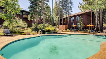 Apartment (0 Bedroom) | Interior