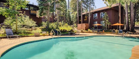 Apartment (0 Bedroom) | Interior